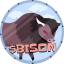 BISON