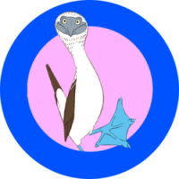 Blue-Footed Booby