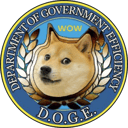 Department of Gov Efficiency