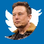 ELON BUYS TWITTER