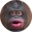 Monkecoin