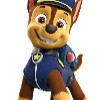 PAW PATROL INU