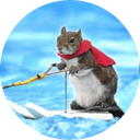 Twiggy the water skiing squirrel